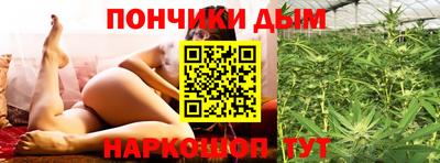 сатива Малгобек