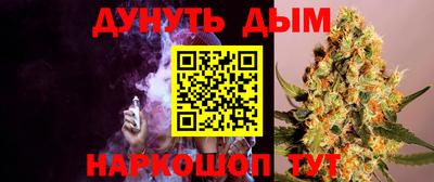 сатива Малгобек