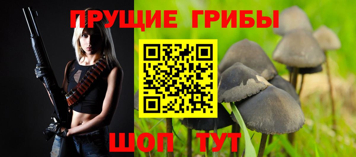 Галлюциногенные грибы Psilocybine cubensis Черняховск