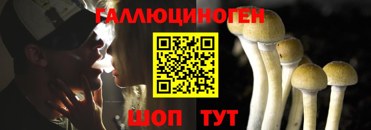 Галлюциногенные грибы MAGIC MUSHROOMS  закладки  Черняховск  Вход с VPN 